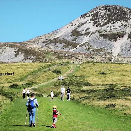 게스트하우스 Glendalough Scenery 라운드우드