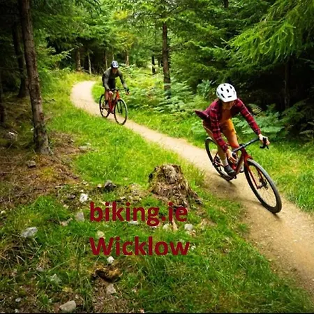 Glendalough Scenery بيت ضيافة *