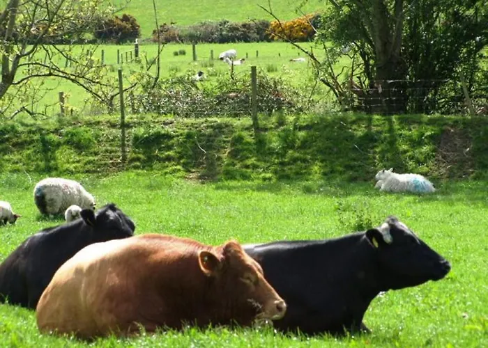 Glendalough Scenery Gasthof