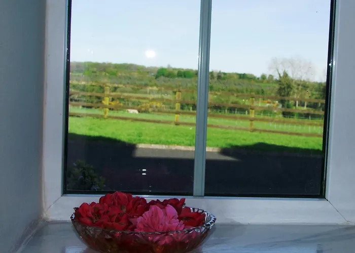 Glendalough Scenery * Roundwood